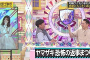 【乃木坂46】ファンが選ぶ‼2020年の乃木中で一番秀逸だったと思う『乃木中テロップ』は・・・