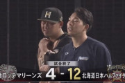 日ハムが12安打12得点で大勝！中田が3安打2HR6打点と大暴れ！