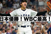 半年前のWBCって夢のような期間やったよな