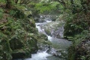 「遭難したら沢を辿れば下山できる」←これ