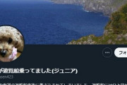 知床遊覧船事故の乗客の家族と思われる人物がツイッターに現る「両親に北海道旅行をプレゼントしたら最初で最後の親孝行になってしまった」