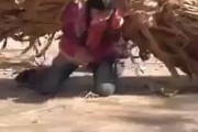 【動画】中国の真実、農村部の女子のお仕事の様子がこちらになります！
