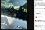炎天下の車内に猫放置→グラドルが発見し通報「ありえないんだけど」…飼い主はどこへ？ （※画像あり）