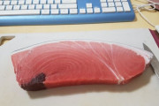 韓国人「マグロを買って自分で寿司を握ってみた」