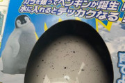 女子「卵を水につけると中からペンギンが出てくるおもちゃ買った！」 → 中から予想外の物体が出てきて号泣ｗｗｗｗｗｗ