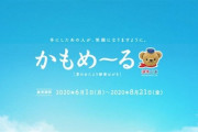 かもめ～るやめ～る
