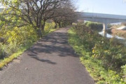 【石川県加賀市】住宅地で犬の散歩をしていたらクマ ((((；ﾟДﾟ))))