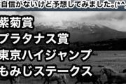 【競馬】兵庫ジュニアグランプリ競争中止のトレド、斃死【2戦2勝・合計13馬身】