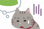 【悲報】うちの猫がご飯も水も飲まないんだが・・・・・・・・・