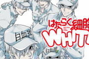 漫画「はたらく細胞WHITE」完結となる4巻予約開始！白血球さんの日常を描く大人気シリーズ最終巻