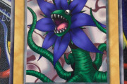 【画像】初期の遊戯王で好きだったカード！！
