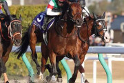 19年の最優秀ダートホース クリソベリル引退 種牡馬入り