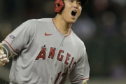 大谷翔平さん、トミージョンじゃなく何かよく分からない手術をしてしまう