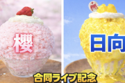 カキ氷屋、櫻坂と日向坂をイメージして『特別かき氷』を販売するも味のチョイスが