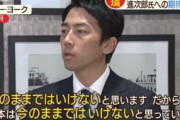 「次の首相になってほしい議員」をアンケート調査！→2位にはなんと小泉進次郎さんがランクイン！！