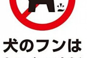 イッヌ「こいつウンコしたらいつも拾ってくンゴねぇ…」