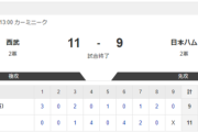 【2軍 西武vs.日本ハム】11-9で敗北