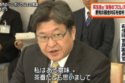 塩村あやか議員がデマ批判の際に使った「プロレス」という表現に新日本プロレスが抗議の意見書→ 謝罪