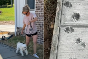 愛犬が存在した証を残したい。新居のコンクリートを踏んでもらい、肉球を刻んだ飼い主