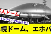 【朗報】札幌ドーム、「収益の四本柱」が誕生しやきう民が地団太踏んで悔しがる