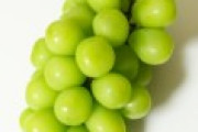 シャインマスカットが1房=398円！生産量増と中国輸出減少で破格の安さに！
