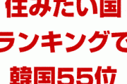 韓国が住みたい国ランキングでワースト10に輝いてしまう！　「物価も不動産も高すぎる。もう住めない」　終わったな…
