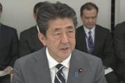 【新型肺炎】安倍総理「新たに感染症の専門家をメンバー加入！会議設置し対策強化してみたｗｗｗ」