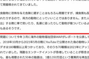捨て猫拾った系YouTuber、ポリシー変更の影響で違反判定に？　某有名チャンネルが収益化停止へ