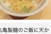 【悲報】結婚したサラリーマンさん、牛丼すら食えない