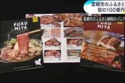 【日向坂46】宮崎市ふるさと納税100億円突破！おひさま暗躍か！？