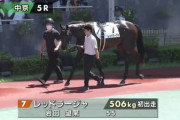 レッドラージャ(父コントレイル)が初ダート未勝利戦に挑む･･･結果は