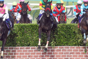 キタサンブラック、初年度産駒だけで芝G1障害G1ダートjpn1勝利