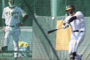 【阪神】大山悠輔が佐藤輝明と並んで特打、柵越え41本　岡田監督「普通に見ても全然違う」