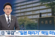 経団連「文在寅政府が再び反日の動きを見せた」日本政府「一方的な発表は遺憾」と文大統領を非難！　韓国の反応