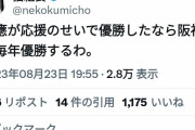 有識者「応援のせいで優勝できるなら、阪神は毎年優勝するわ」