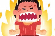 姉が派手な女叩きから更に悪化して男叩きに目覚めて拗らせた。姉が1日も早く正気に戻ることを祈る