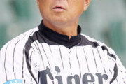 ゲンダイ 阪神平田監督&カツノリヘッド爆誕へ