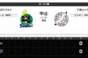 ヤクルトvsロッテ、悪天候のため中止…