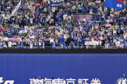 【朗報】中日ドラゴンズなんと観客動員数12球団5位