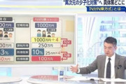 【少子化対策】自民・維新・国民が提案『N分N乗方式』で決まりそう･･･