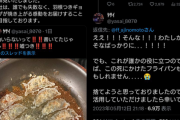 【悲報】冷凍餃子購入民「油いらないって言ったのに嘘つき！」味の素公式「なにっ！？ｼｭﾊﾞﾊﾞﾊﾞﾊﾞ(走り寄ってくる音)」