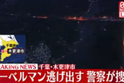 ドーベルマン数頭が逃げ出す見つけても捕まえようとせず通報を千葉・木更津市 #速報