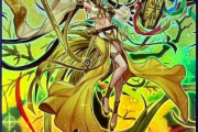 【遊戯王】儀式フェスは何を握ればいいの？