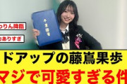 接近した藤嶌果歩がマジで可愛すぎる件【日向坂46】