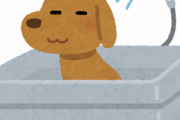【画像あり】ワンちゃんを『お風呂』に入れた結果ｗｗｗｗ