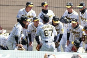 【宝の山】阪神二軍野手成績最新版【トレードの申し込みはお早めに】
