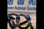 【動画】日本で落書きや万引きをしている様子を撮影して拡散した外国人、コメント欄が称賛の嵐になってしまう