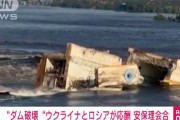 【緊急】ウクライナのダム崩壊、思ってたより大ごとになり始める　安保理、緊急会合開催へ