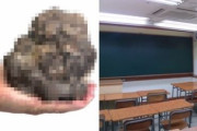 【悲報】韓国人「警察が壁にうんこを塗った中学生を逮捕！」学習塾の建物に自分の「糞」を撒いてばれた中学生‥　韓国の反応
