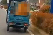 【イヌ】 車が前方を走っていた。荷台に大きなクマが乗っている！？ → 犬でした…
